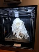 2d-s képből 3d-s nyomat, 30cm-nél nagyobb méret